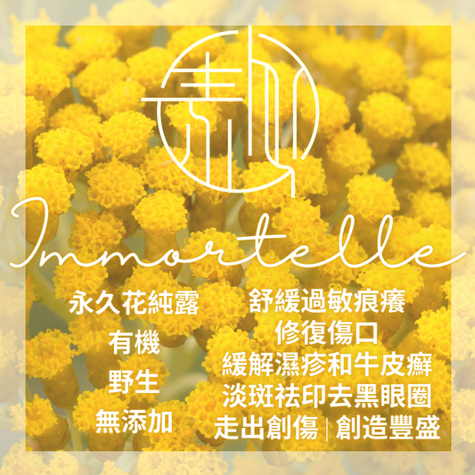 有機永久花純露（野生） Organic Immortelle Hydrosol (Wild) 100ml